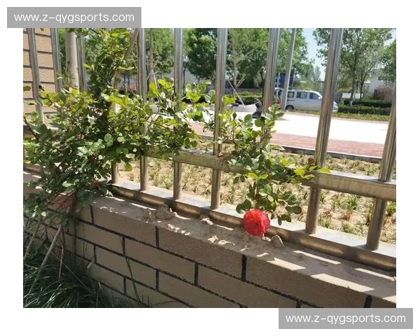 开云体育直播回放:不再错过每一个精彩瞬间的观赛新体验 开云体育直播回放:不再错过每一个精彩瞬间的观赛新体验